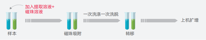 一飞冲天300倍游戏(中国游)·官方网站
