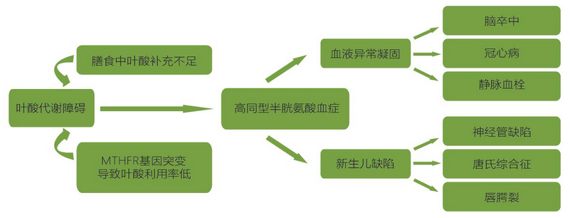 一飞冲天300倍游戏(中国游)·官方网站