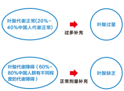 一飞冲天300倍游戏(中国游)·官方网站
