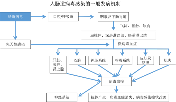 一飞冲天300倍游戏(中国游)·官方网站