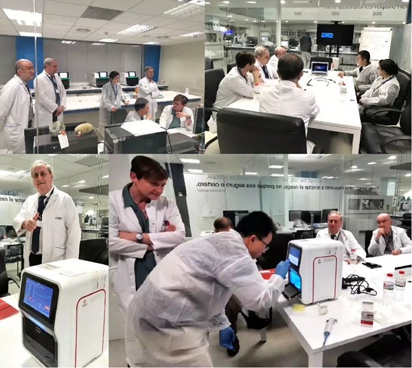 一飞冲天300倍游戏(中国游)·官方网站