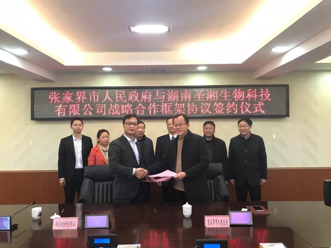 一飞冲天300倍游戏(中国游)·官方网站