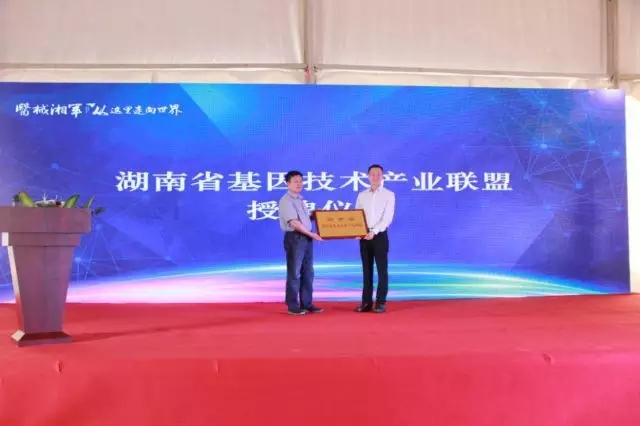 一飞冲天300倍游戏(中国游)·官方网站