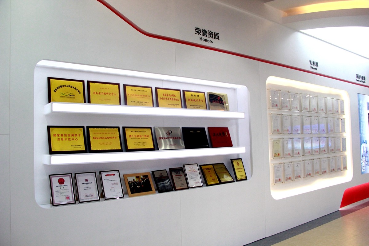 一飞冲天300倍游戏(中国游)·官方网站