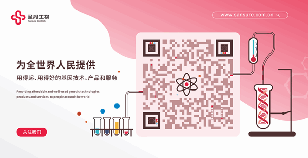 一飞冲天300倍游戏(中国游)·官方网站