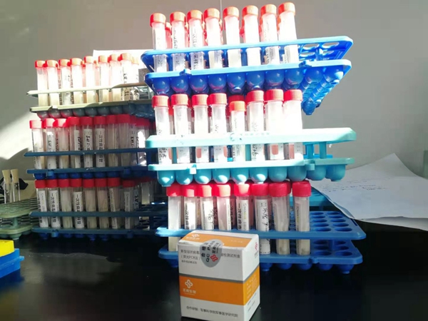 一飞冲天300倍游戏(中国游)·官方网站