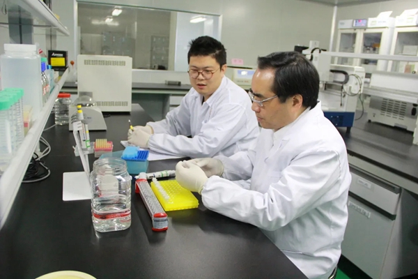 一飞冲天300倍游戏(中国游)·官方网站