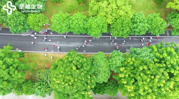 一飞冲天300倍游戏(中国游)·官方网站